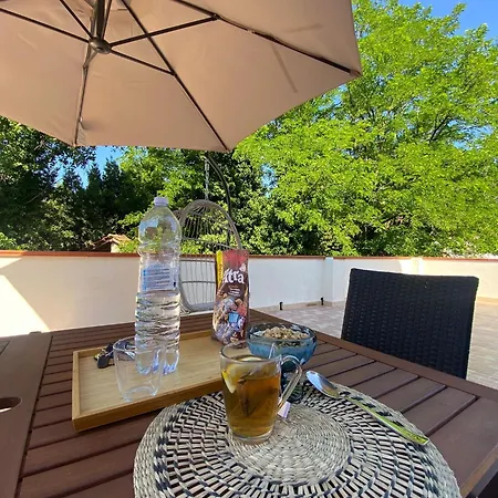 Affittacamere Shardana House- Free Parking 3*